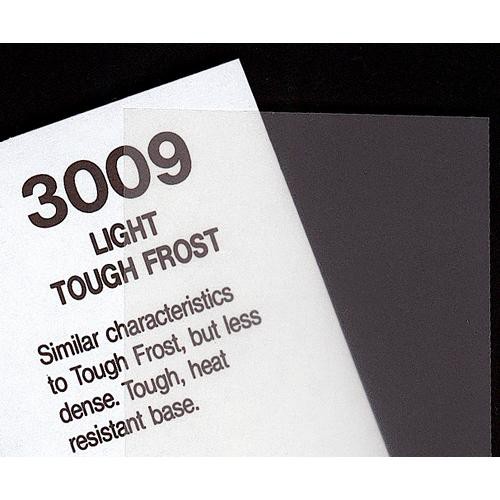 Rosco RS300911 3009 Filter Light