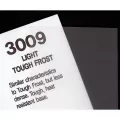 Rosco RS300911 3009 Filter Light
