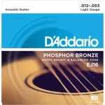 DAddario EJ16 Light Phosphor Bronze Acoustic Guitar Strings 6String Set 12  53