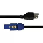 Blizzard Cool Cable Grounded Male Edison-14 Gauge Mains Power Cable 10