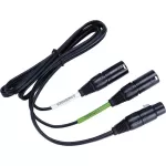 Lewitt DTP 40 Trs - 5-Pin XLR Female to Dual 3-Pin XLR Male Audio Cable 4.9