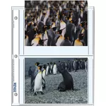 Print File PF574P25 Archival Storage Page for