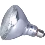 American DJ LL-PAR38 Lamp (150W/120V) LL PAR38 Video
