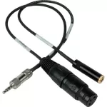Sescom TRRS to XLR Microphone & 3.5mm Monitoring IPHONE-MIC-1