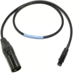 Cable Techniques CTPTXR18 TA3F to XLR3M Cable for Sound Devices 18