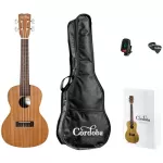 Cordoba UP100 Protg Series Concert Ukulele Pack with Gig Bag Picks  Tuner Matte Finish