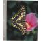 Pioneer Photo Albums RW15 Refill Pages for FTM15